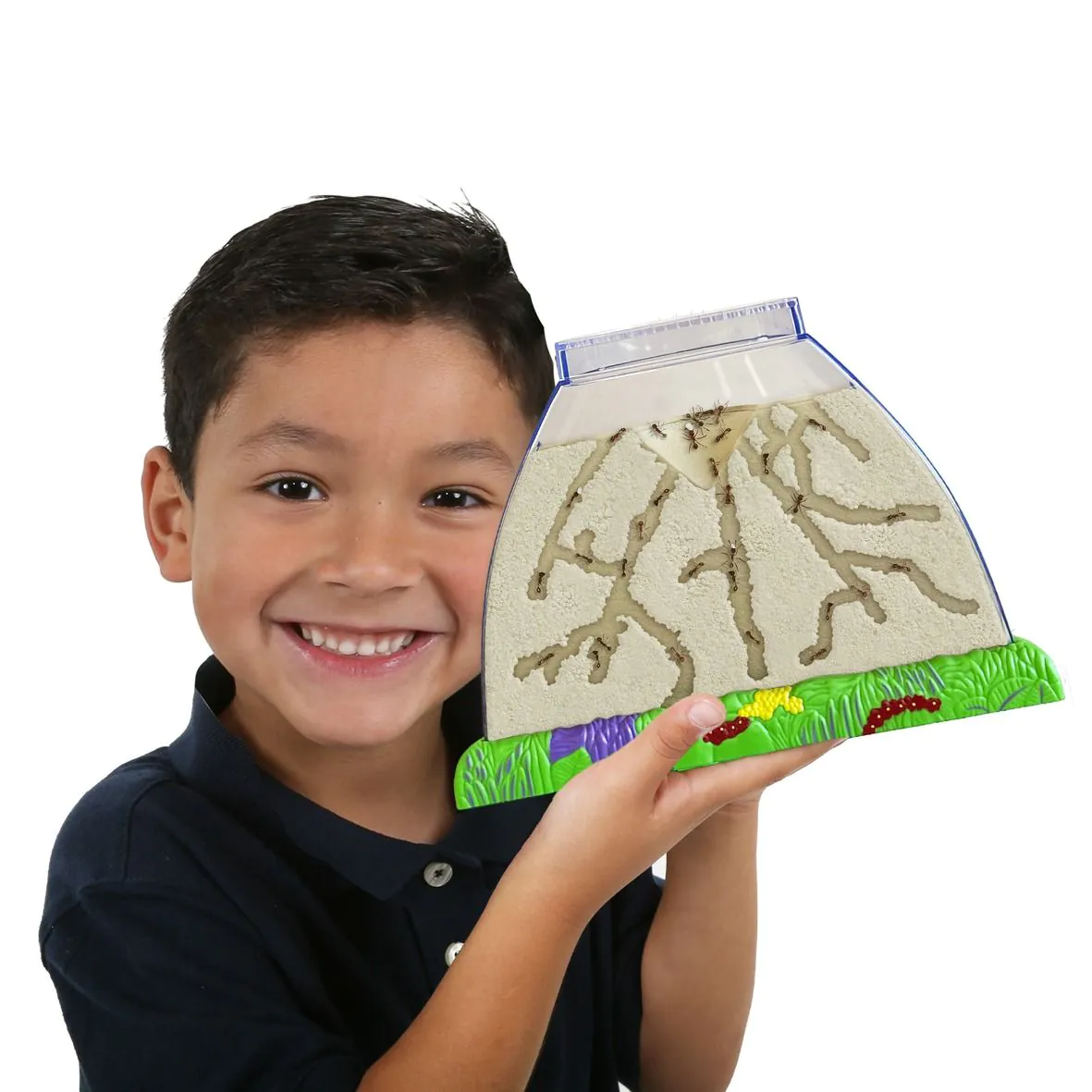 /a/n/ant_hill_4.png