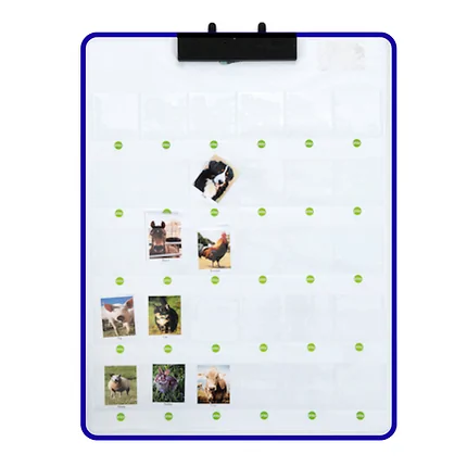 Interactive Board - Record & Play